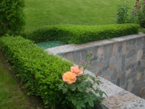 Поддръжка на двор в гр. Банкя