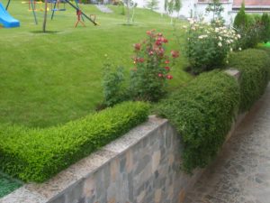 Поддръжка на двор в гр. Банкя