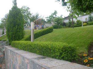 Поддръжка на двор в гр. Банкя