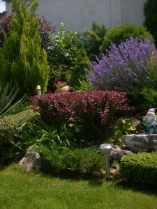 Поддръжка на двор в гр. Банкя