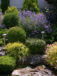 Поддръжка на двор в гр. Банкя