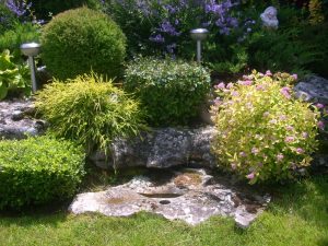 Поддръжка на двор в гр. Банкя