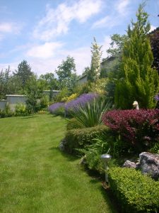 Поддръжка на двор в гр. Банкя