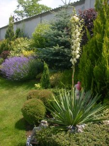 Поддръжка на двор в гр. Банкя