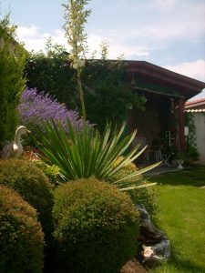 Поддръжка на двор в гр. Банкя