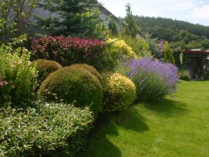 Поддръжка на двор в гр. Банкя
