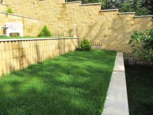 Затревяване с тревни смески на вилен парцел в село Луково