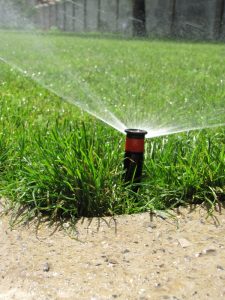 Поливна система в Негован