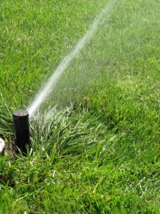 Поливна система в Негован