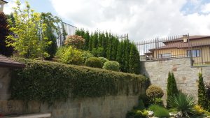 Озеленяване на двор в кв. Бояна (3) – етап 2