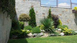 Озеленяване на двор в кв. Бояна (3) – етап 2