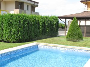 Озеленяване на двор в кв. Бояна (3) – етап 2