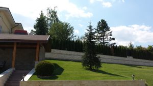 Озеленяване на двор в кв. Бояна – 5, София