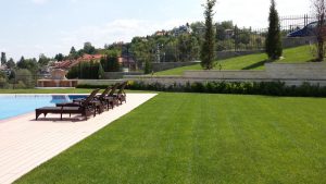 Озеленяване на двор в кв. Бояна – 5, София