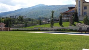 Озеленяване на двор в кв. Бояна – 5, София