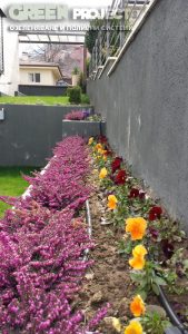 Озеленяване на двор в кв. Бояна – 7, София