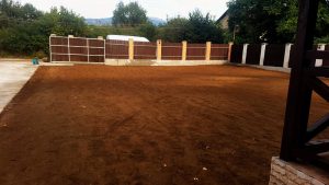 Озеленяване на двор в Перник