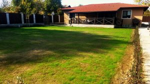 Озеленяване на двор в Перник