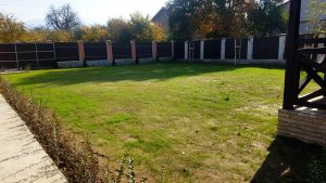 Озеленяване на двор в Перник