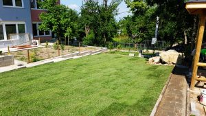 Озеленяване на двор в Бояна 8