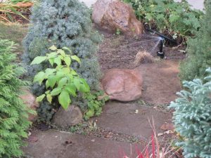 Поливна система в кв. Павлово