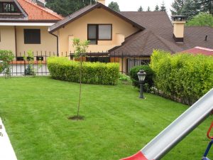 Поддръжка на двор в София, кв. Бояна – 2