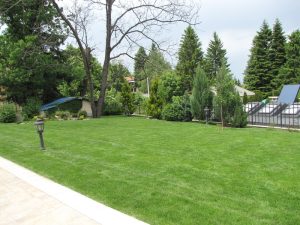 Поддръжка на двор в София, кв. Бояна – 2