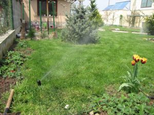 Поливна система в Бусманци 2