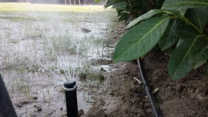 Поливна система в Банкя 3