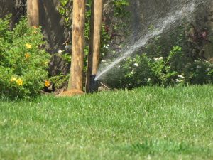 Поливна система в София, кв. Бояна 1-1