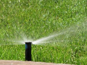 Поливна система в София, кв. Бояна 1-1