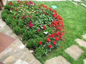 поддръжка на двор в София, кв. Симеоново – 3