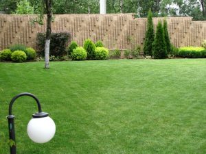 поддръжка на двор в София, кв. Симеоново – 3