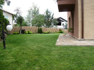 поддръжка на двор в София, кв. Симеоново – 3