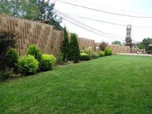 поддръжка на двор в София, кв. Симеоново – 3