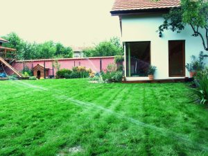 Поливна система в с. Столник