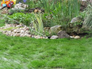 Поливна система в с. Столник