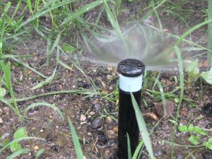 Поливна система в с. Столник