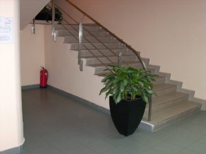 Интериорно озеленяване на офис сграда на Тека ООД