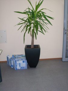 Интериорно озеленяване на офис сграда на Тека ООД