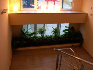 Интериорно озеленяване на офис сграда на Тека ООД