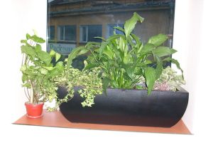 Интериорно озеленяване на офис сграда на Тека ООД