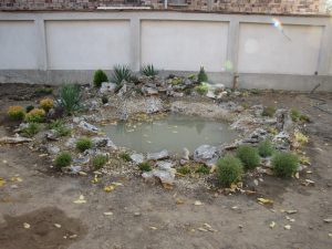 декоративна водна площ в кв. Малинова долина