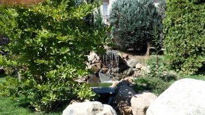 декоративна водна площ в кв. Бояна