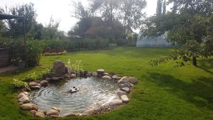 Декоративно езеро в Мрамор