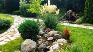 декоративна водна площ в кв. Бояна