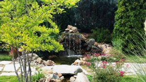 декоративна водна площ в кв. Бояна