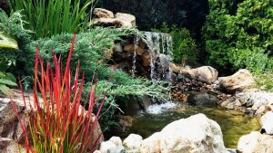 декоративна водна площ в кв. Бояна