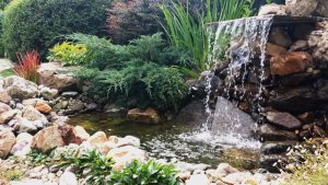 декоративна водна площ в кв. Бояна