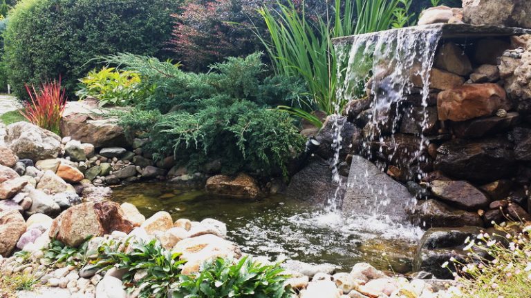 декоративна водна площ в кв. Бояна